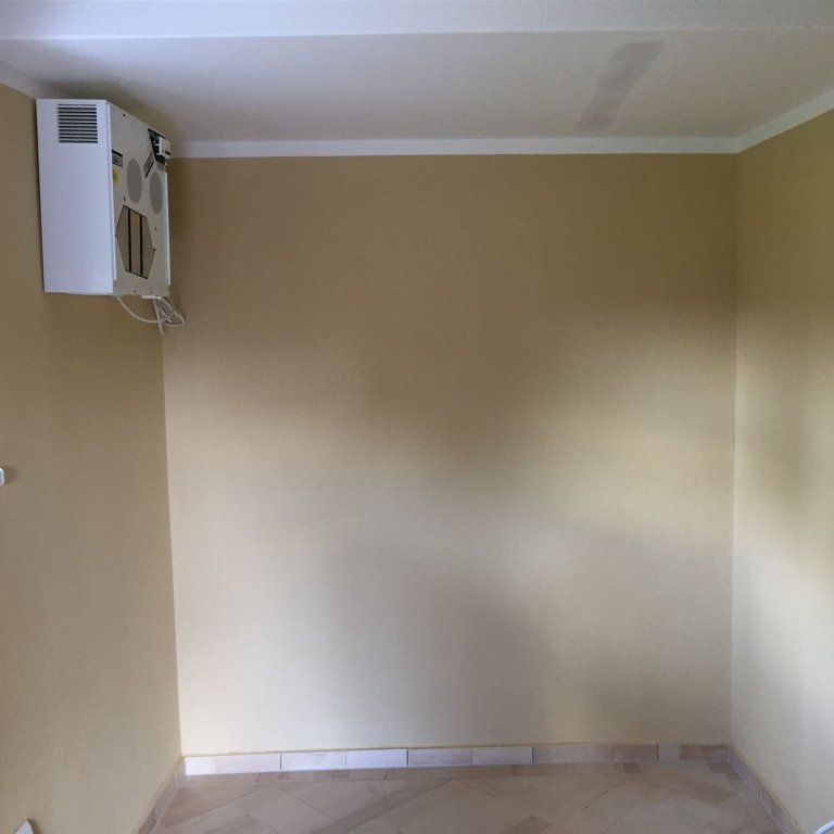 schimmelpilz referenz