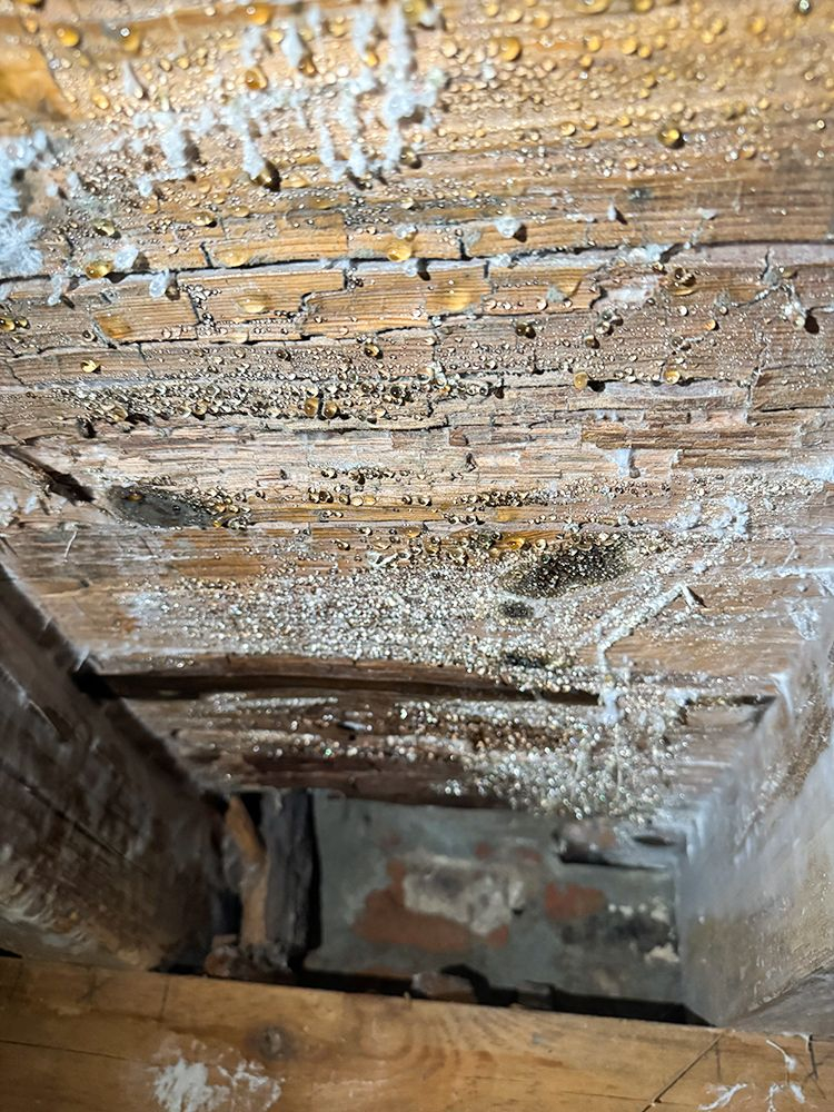 schimmelsanierung-08