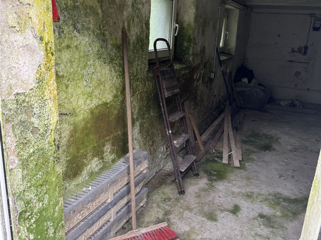 Durchfeuchtung Kellerwand