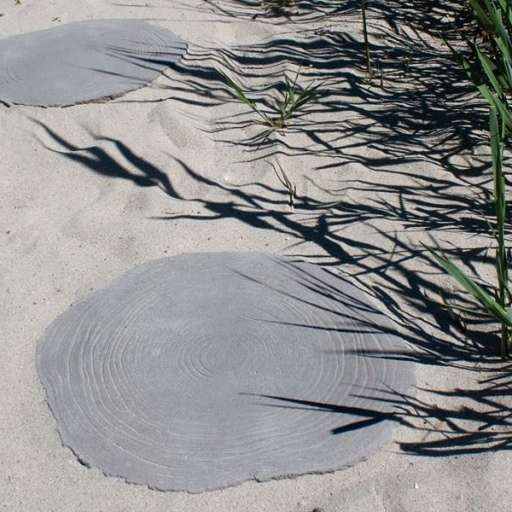 baumscheibe ambiente