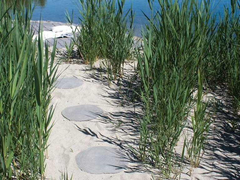 baumscheibe ambiente