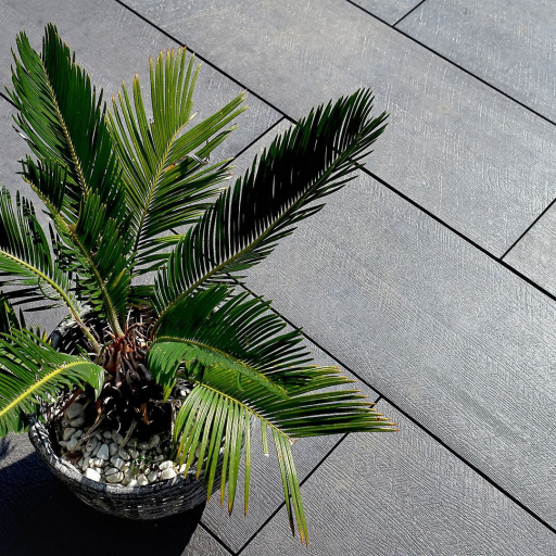 strukturdiele-ambiente