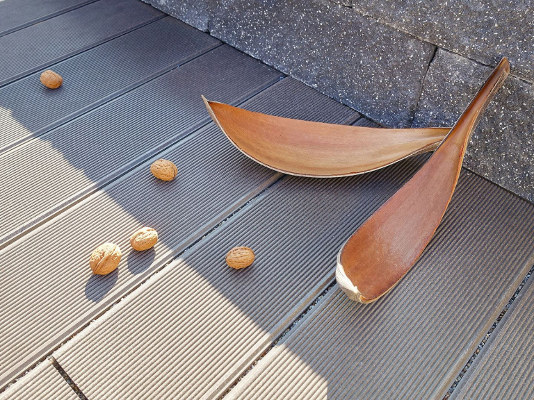 schiffsplanke-ambiente