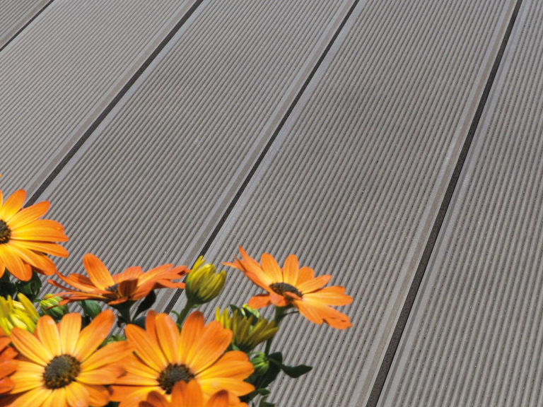 schiffsplanke-ambiente