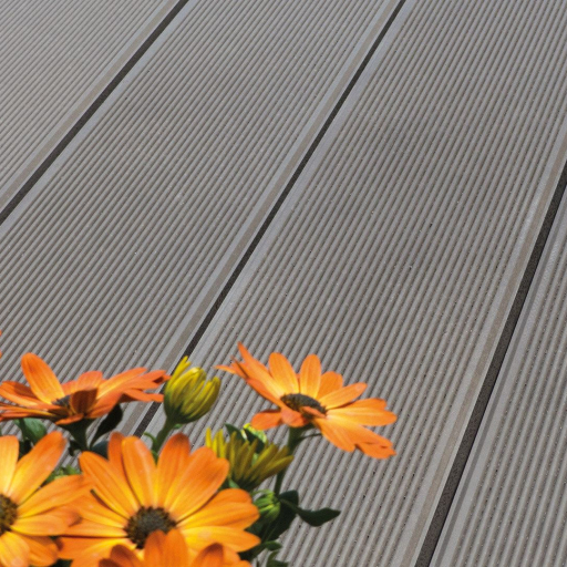 schiffsplanke-ambiente